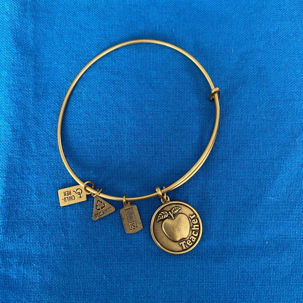 Golden double wire, bangle, teacher themed bracelet, adjustable size